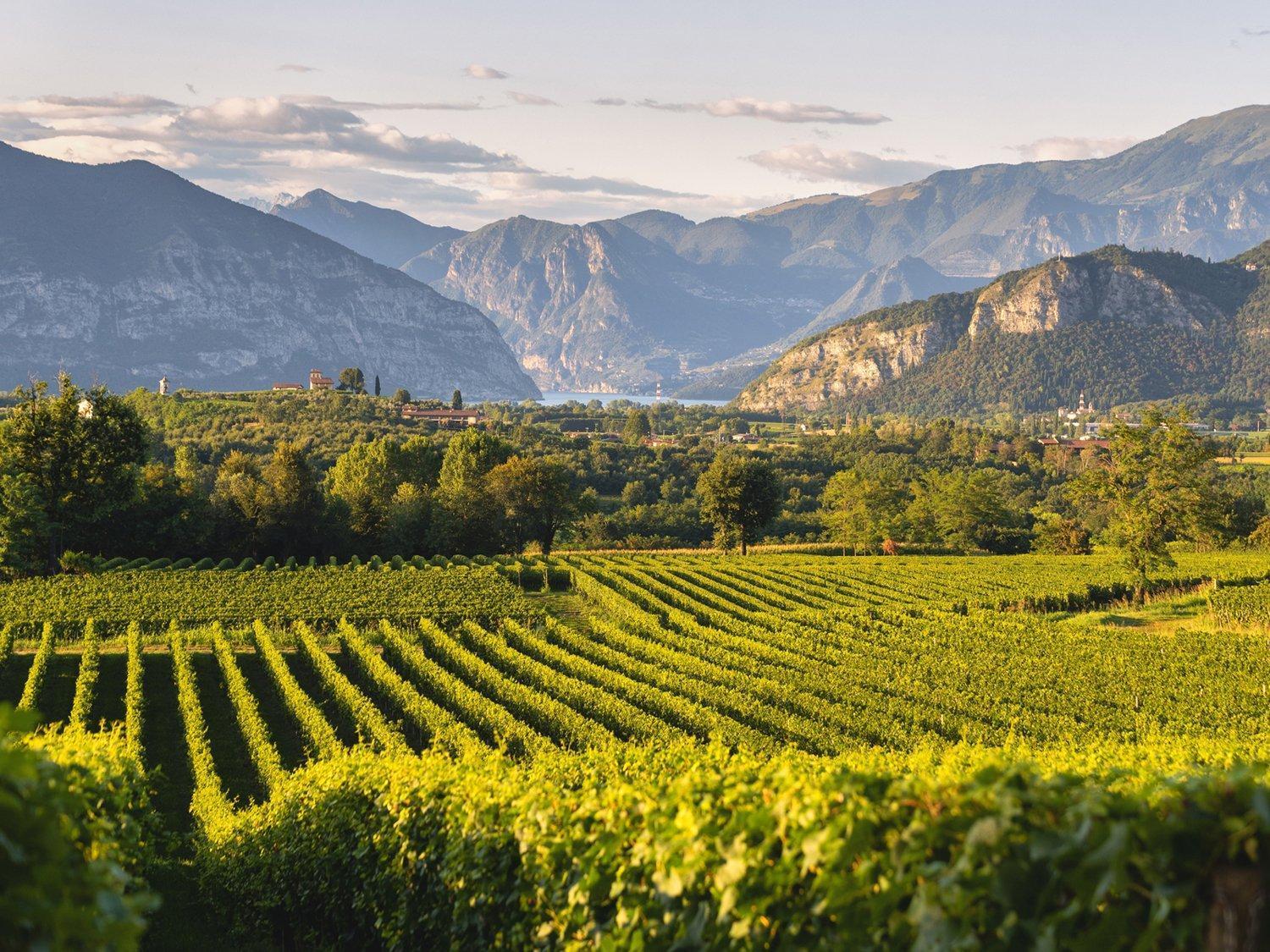 Ferienwohnung La Corte Del Bona - Vicino Alle Cantine E A Circa 15 Minuti Dal Lago Di Iseo - Erbusco Exterior foto