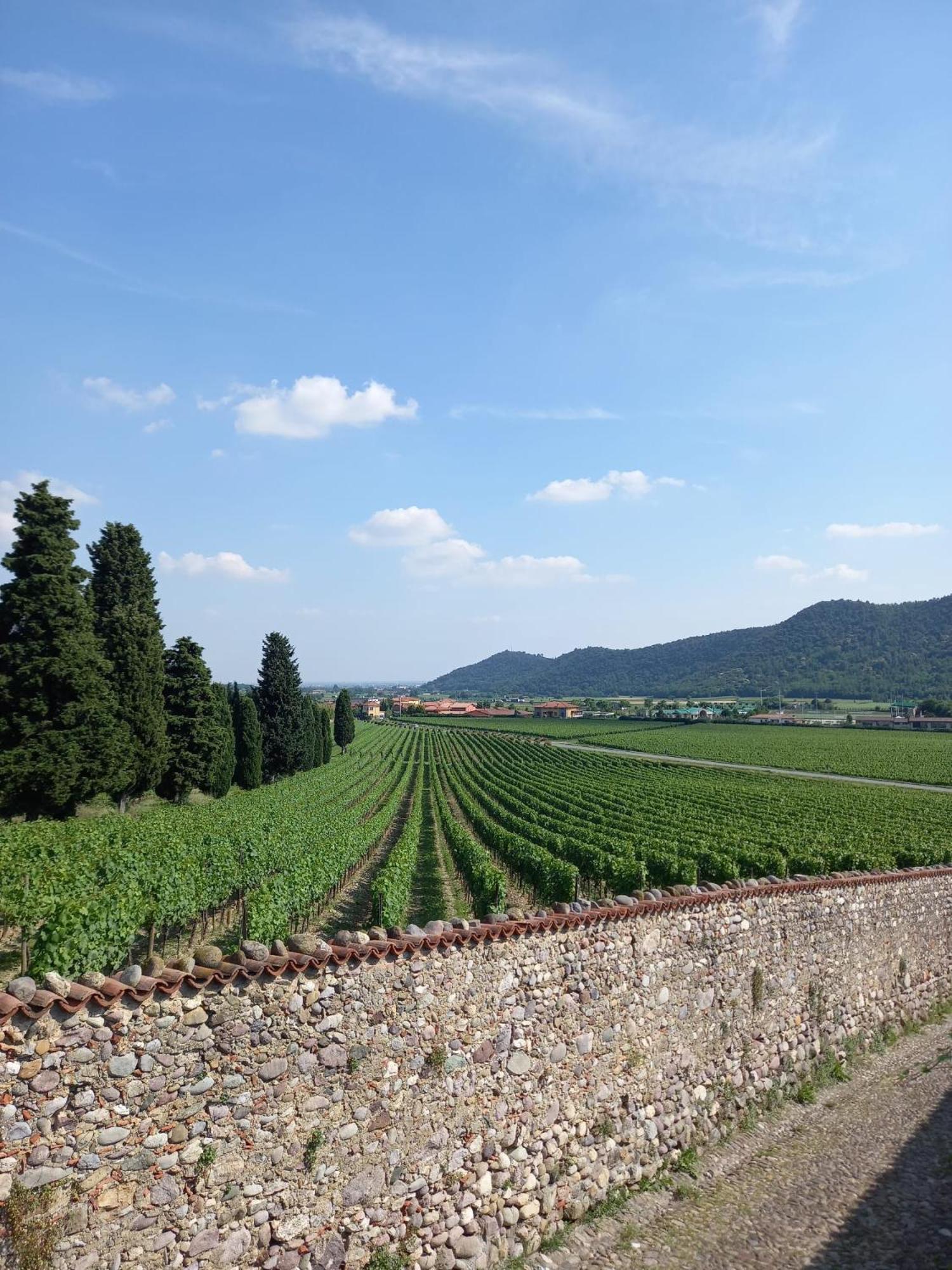 Ferienwohnung La Corte Del Bona - Vicino Alle Cantine E A Circa 15 Minuti Dal Lago Di Iseo - Erbusco Exterior foto